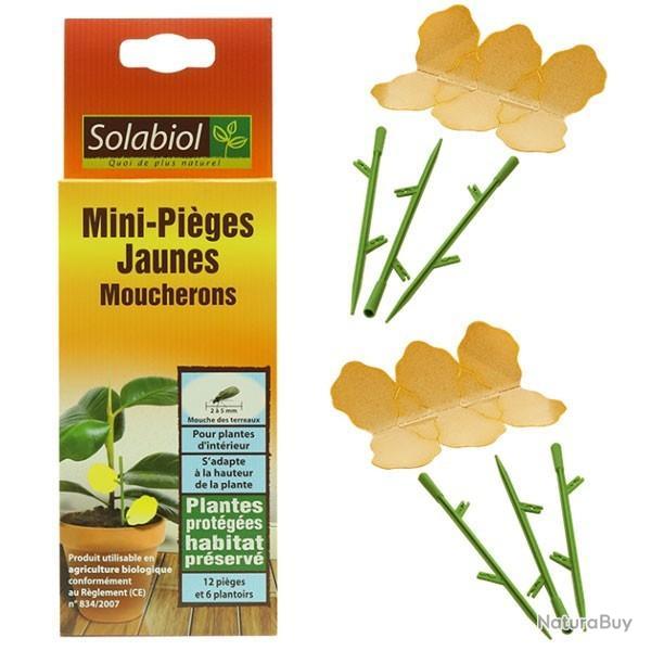 Piges Moucherons jaunes , pour plantes d'intrieur