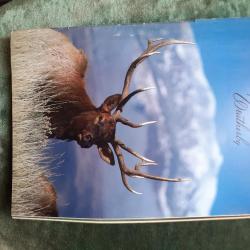 Catalogue Weatherby 1985  40 eme anniversaire  28 pages