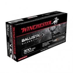 Balles Winchester Ballistic Silvertip - Cal. 300 WSM - Par 1