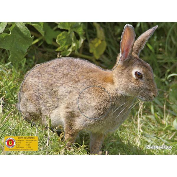 NORMANDIE ARCHERIE - LAPIN DE GARENNE