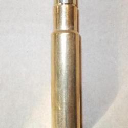 Cartouche de .450 Rigby