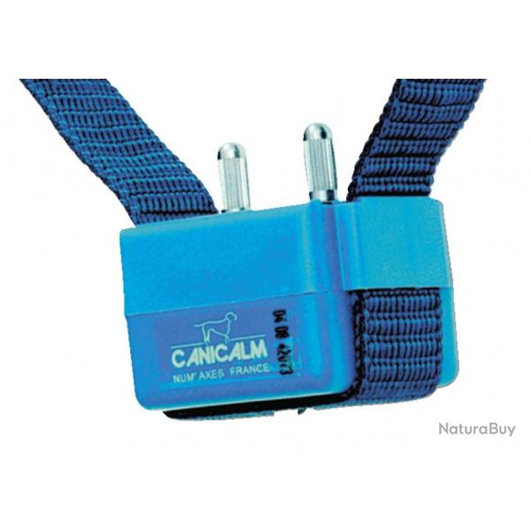 CANICALM - NUM'AXES