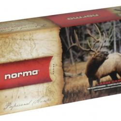 POINTE PLASTIQUE - NORMA 7x64, 11 g