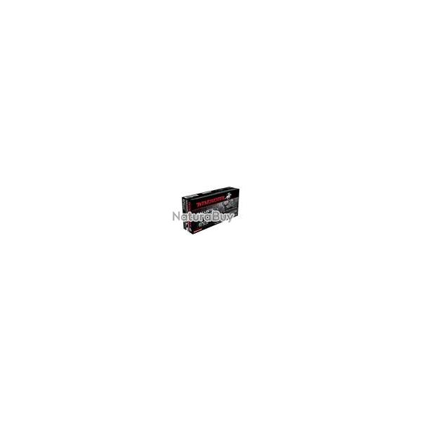 BALLISTIC SILVERTIP - WINCHESTER 270 wsm, 9.72 g