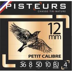 Cartouches Pisteurs cal.12mm plomb