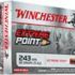 EXTREME POINT - WINCHESTER 243 win, 6.16 g