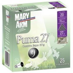 CAL 20/70 - PUMA 27 - MARY ARM 9