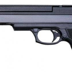 PR-45 - GAMO