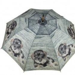 Parapluie Teckels