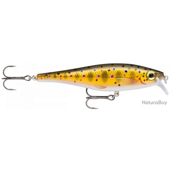 Leurre rapala bx minnow 10 cm TR