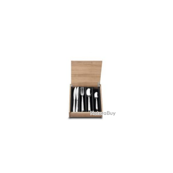 ENSEMBLE MENAGERE DANS COFFRET EN BOIS PRADEL EXCELLENCE ALBERT DE THIERS 48 PIECES MODEL GALAXIE