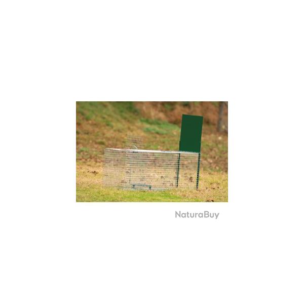 Bote  fauves 1 entre 62x21x21 BOXTRAP