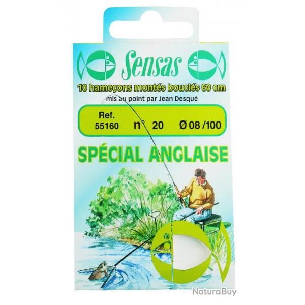 HAMECONS MONTES SP ANGLAISE 16/10 NPC