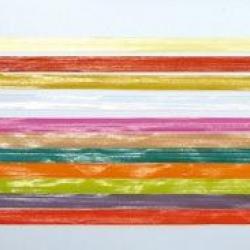 CORPLAST JMC 3mm Orange