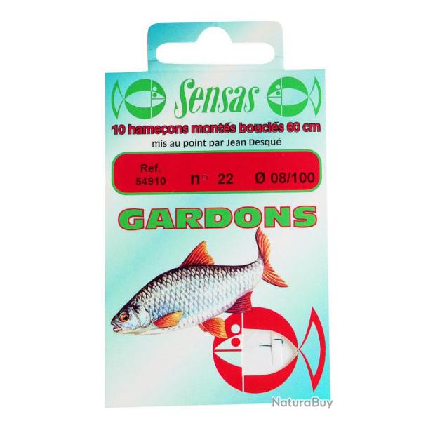 HAMECONS MONT GARD X10 22/08