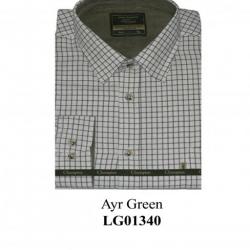 CHEMISE CHAMPION AYR GREEN Lovergreen LG01340