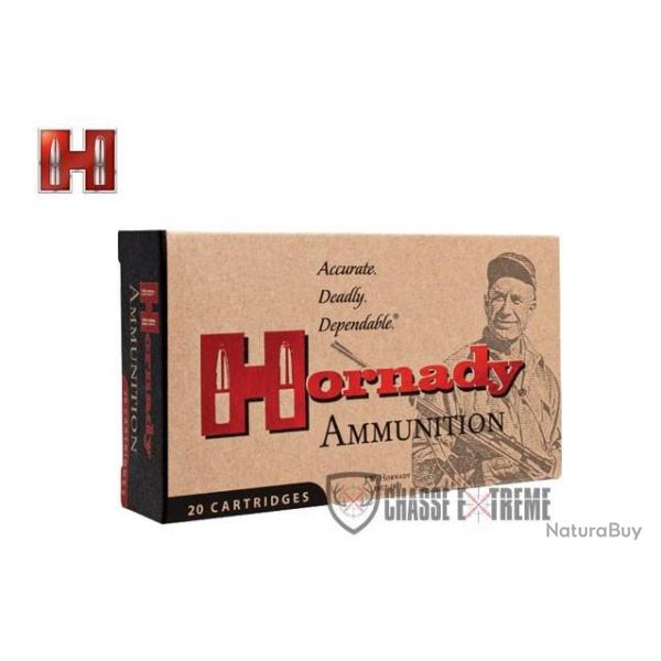 20 Munitions HORNADY Dangerous Game Series 375 H&H Mag 300 Gr Dgs