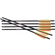 Flèches Centerpoint Premium 20 Pouces - Encoches Lumineuses (3pk) - NEUF