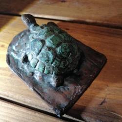 Magnifique tortue en bronze de très grande qualité