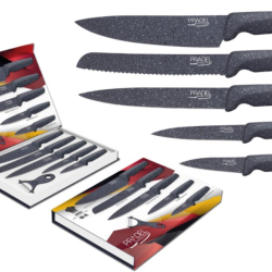Coffret couteaux PRADEL DE 5 CTX + ÉPLUCHEUR / LAME REVÊTEMENT FACON PIERRE GRISE 8249071