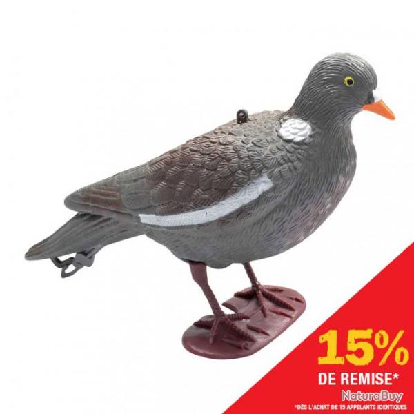 appelant pigeon au pos les 4