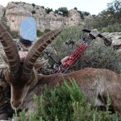 ESPAGNE IBEX 2024/2025