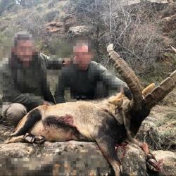 ESPAGNE IBEX 2025/2026