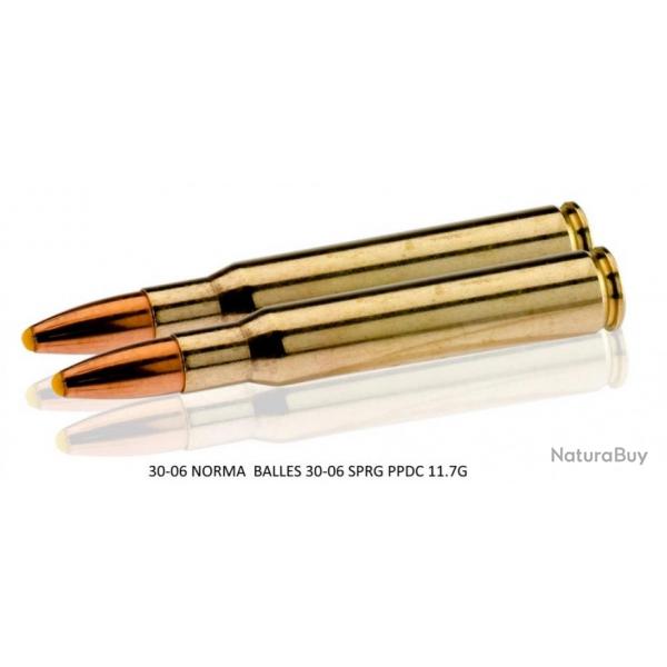 Munitions  percussion centrale Norma Cal. 30.06 Springfield PPDC 180 GR-MN310