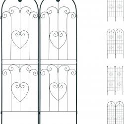 Treillis clôture plante grimpante arche jardin fer set de 2 vert 13_0002896