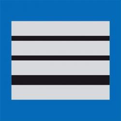 Galon de poitrine Police Municipale - Bleu - Directeur