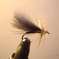 Sedge CDC noir - mouche de pêche artisanale