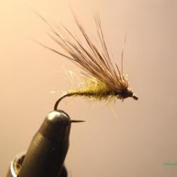 Sedge émergent chevreuil - mouche de pêche artisanale