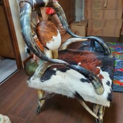 Fauteuil tout en corne et peaux de vache Texane