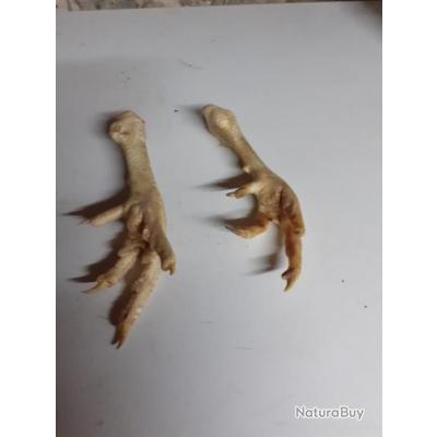 2 Pattes De Coq Ardennais Plumes Oeufs Cranes Os