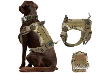 Harnais chien militaire tactique : Tout savoir sur cet accessoire !