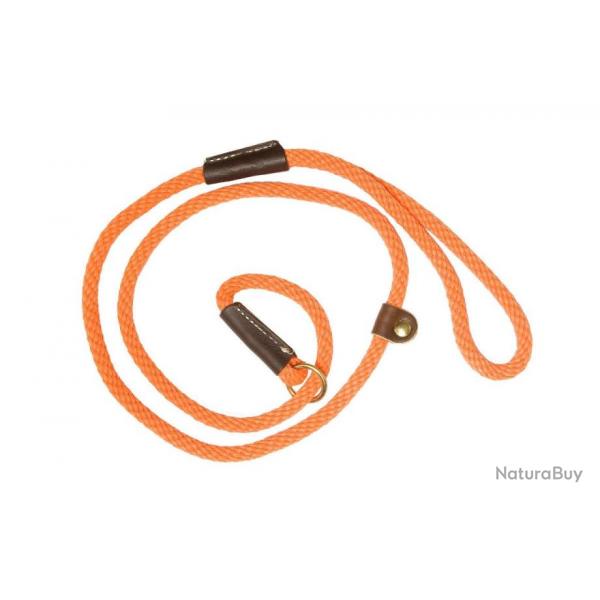 Laisse de dressage orange