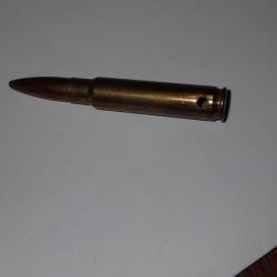 Cartouche neutralisée - étui laiton - 223 - Fédéral - balle 6,7mm