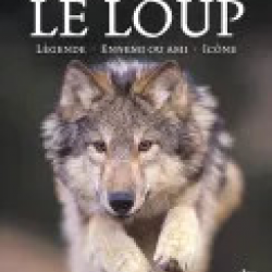 Le Loup - Légende - Ami ou ennemi - Icône
