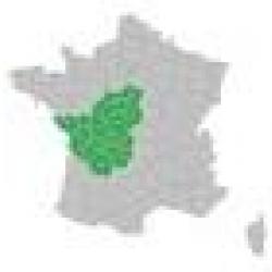 CARTES HUNTVIEW - GARMIN Centre OUEST