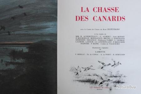 LA CHASSE DES CANARDS