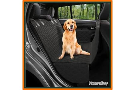 Transporter un chien en voiture : les accessoires