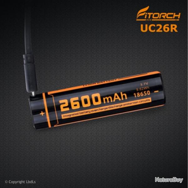 Batterie 18650 avec port USB