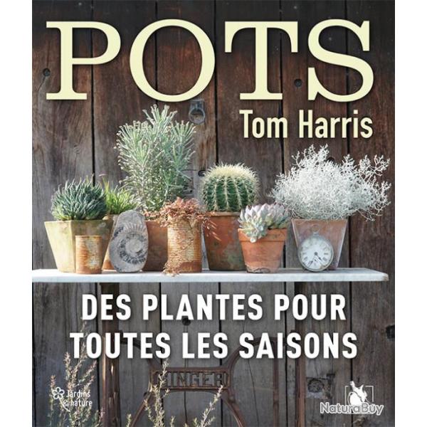 Pots, des plantes pour toutes les saisons
