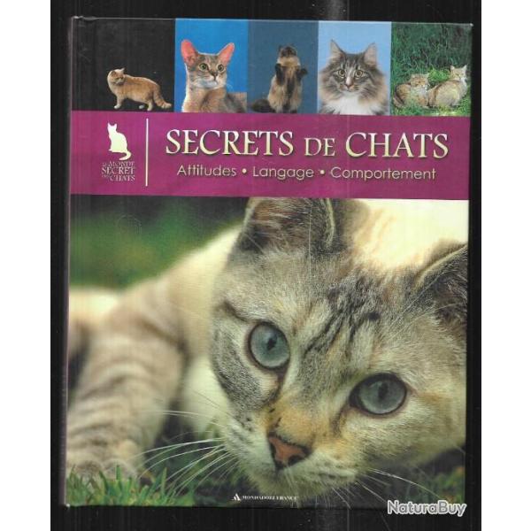 secrets de chats , attitudes langage comportement , le monde secret des chats
