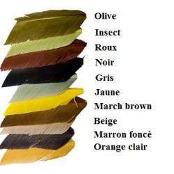 SUBSTITUT DE CONDOR JMC Insect