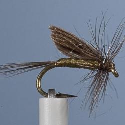 MOUCHE ORNANS 2 H16