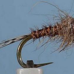 MOUCHE JCC 250 BL H14