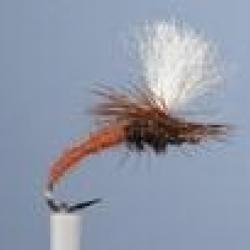 MOUCHE DC 3 H12