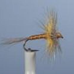MOUCHE JMC 601 H14 NPC