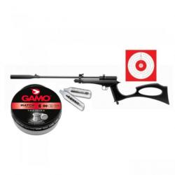 Pistolet Carabine ARTEMIS CP2 cal.4.5 - 10 JOULES CO2 + 250 Plombs + 10 cibles + 5 Co2 powair